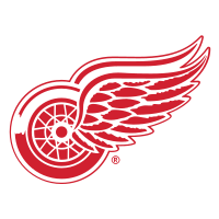 Detroit Red Wings Jersey